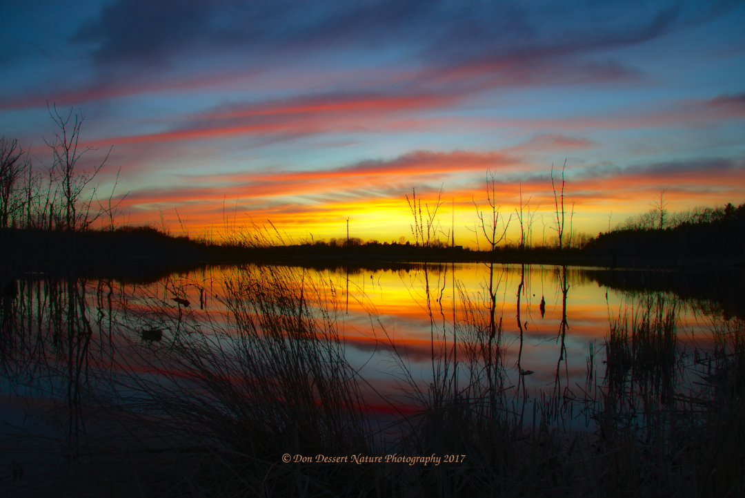 Click for larger image