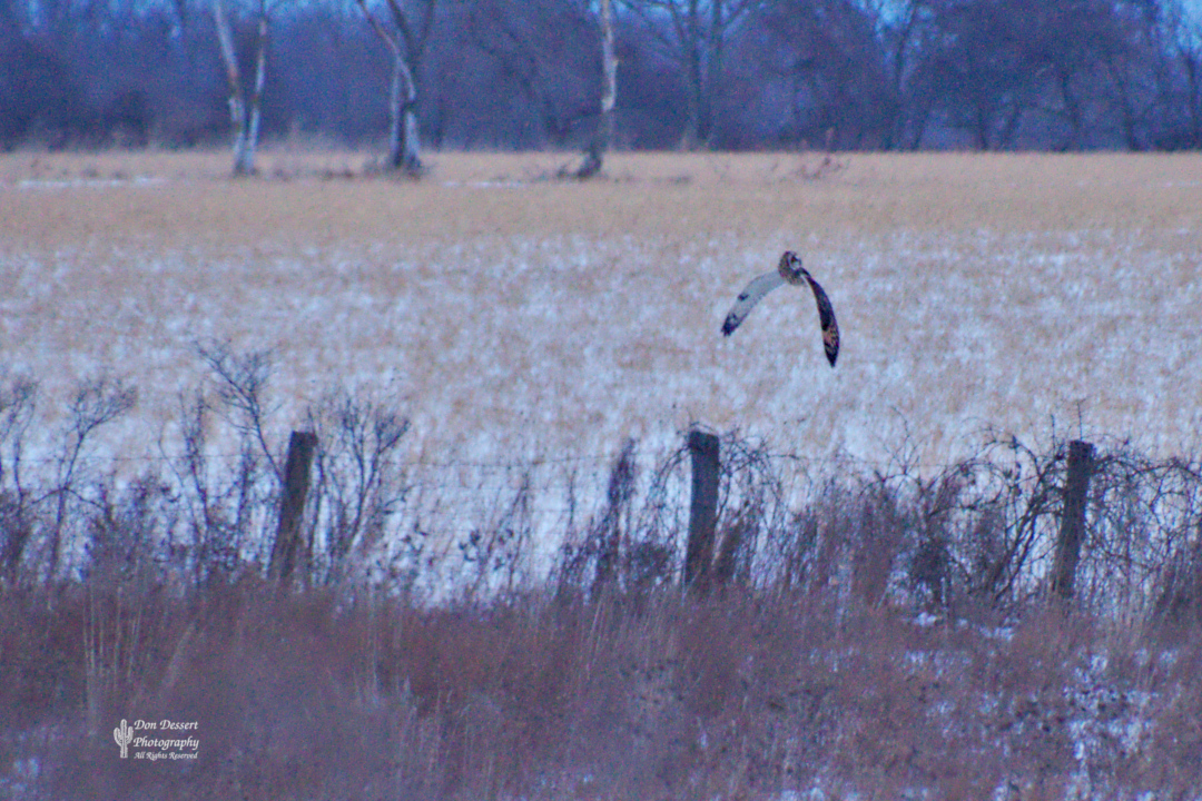 Click for larger image